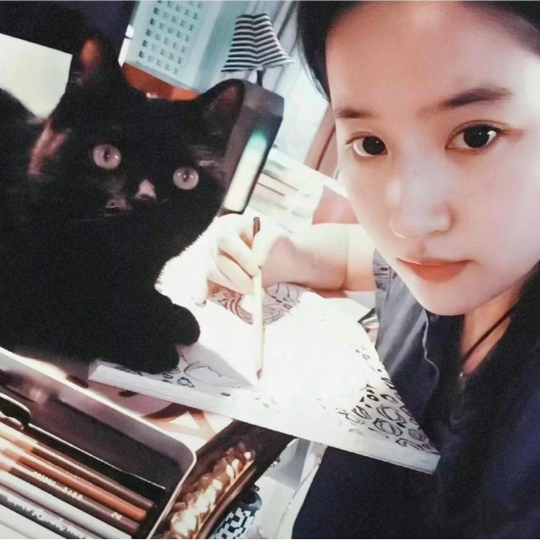 社恐的小美🦄