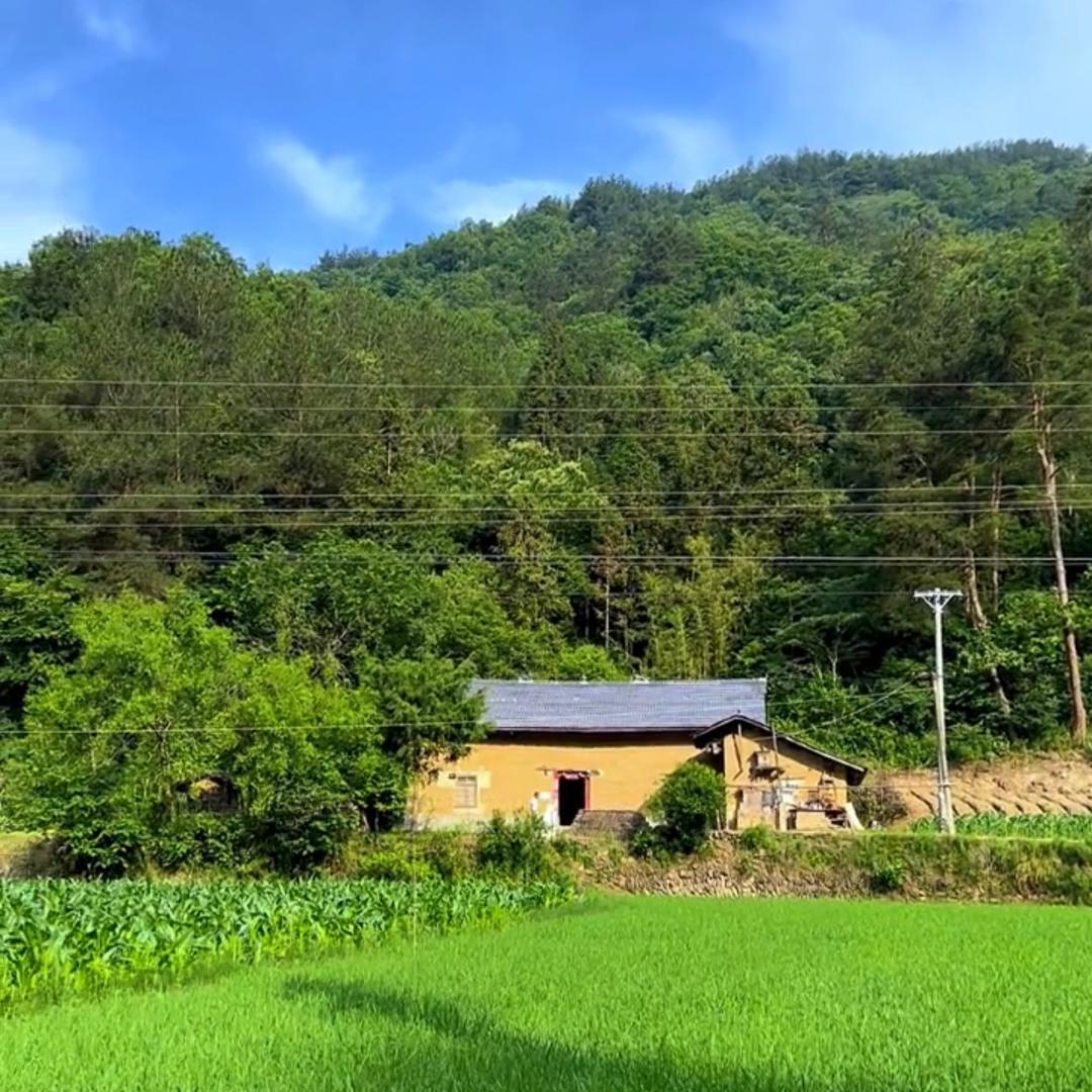 农村憨哥