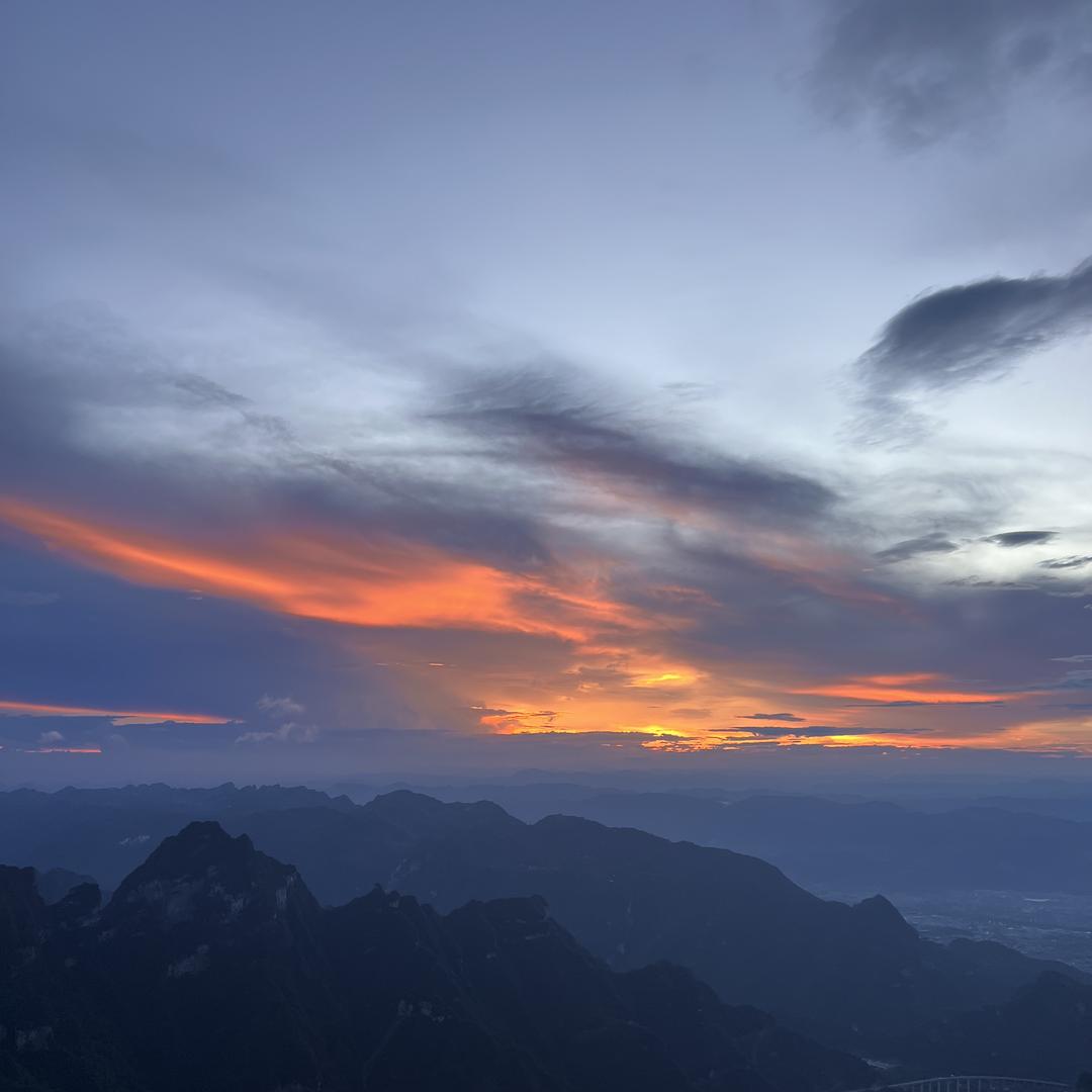 沁猴茶业臻选直播间