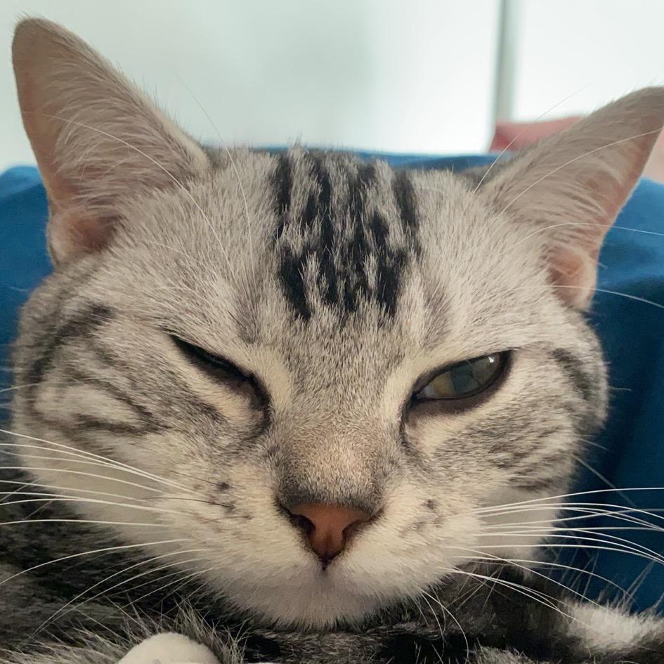 啊哈youaremysunshine