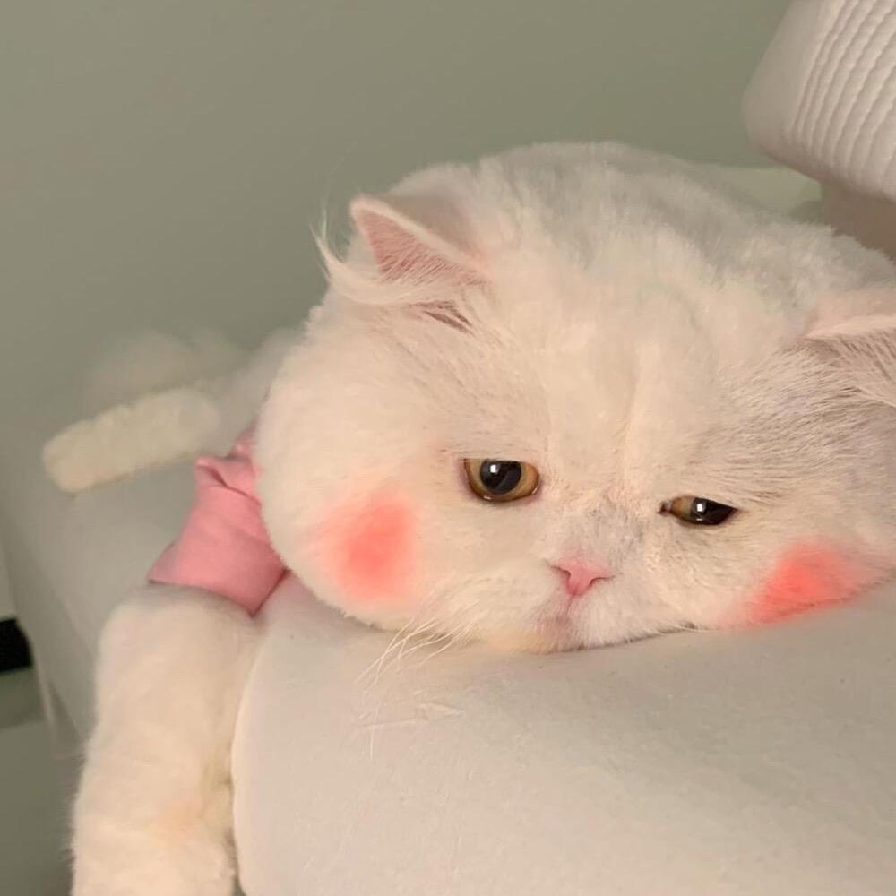 拾贰@@