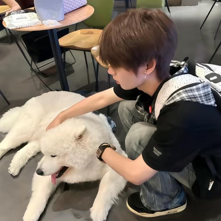 汉堡