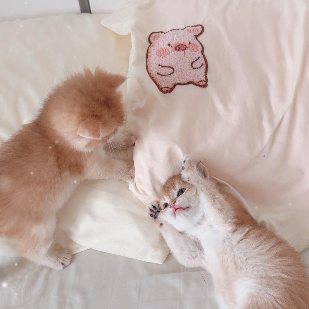 小七一与小一七