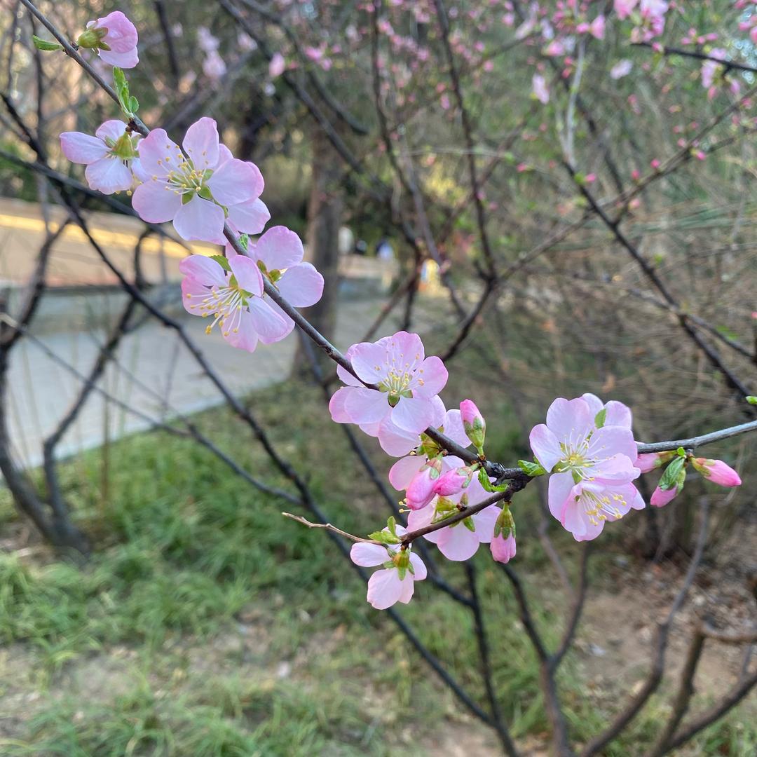 天生丽质