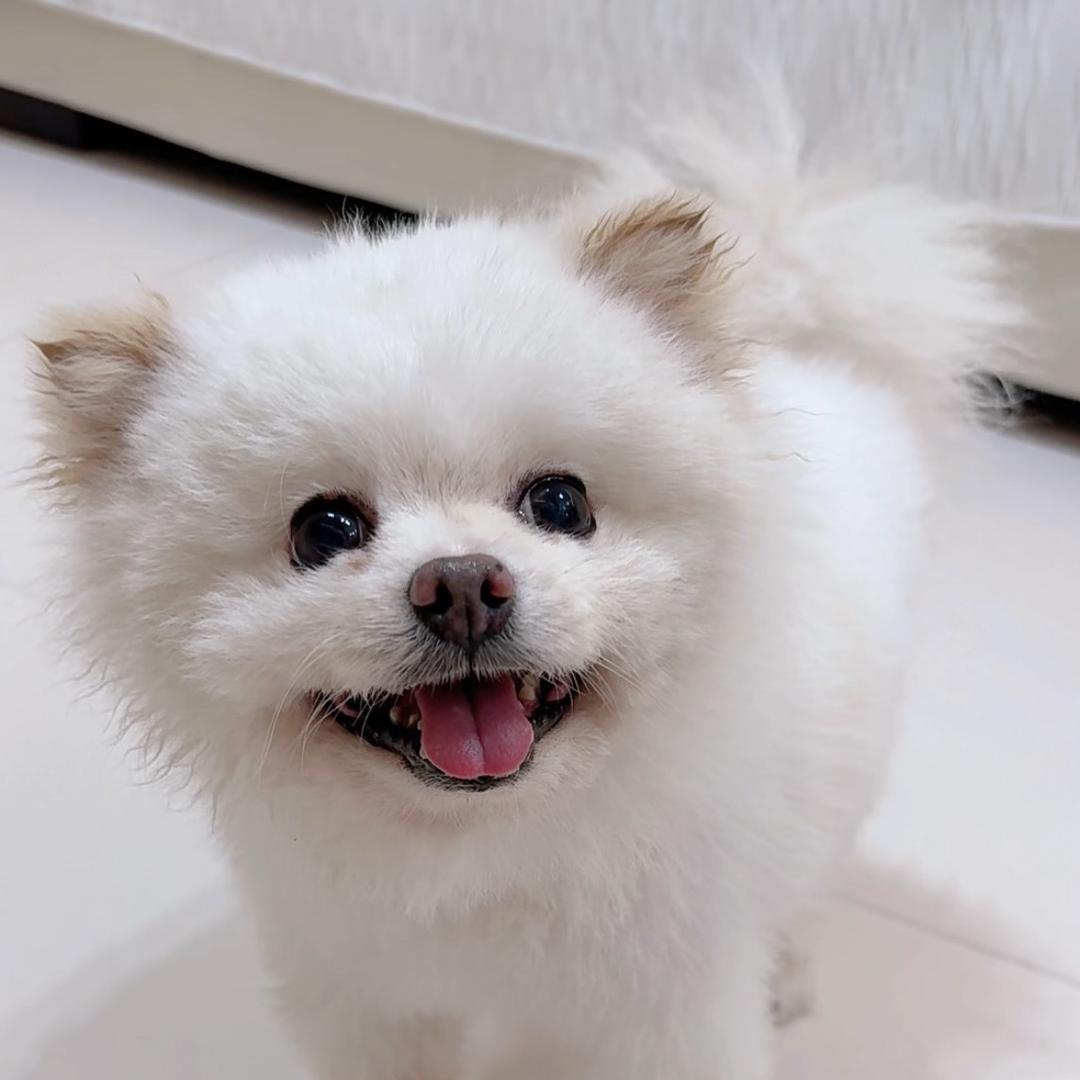 ⁽⁽ଘ流💋年ྋ⌇