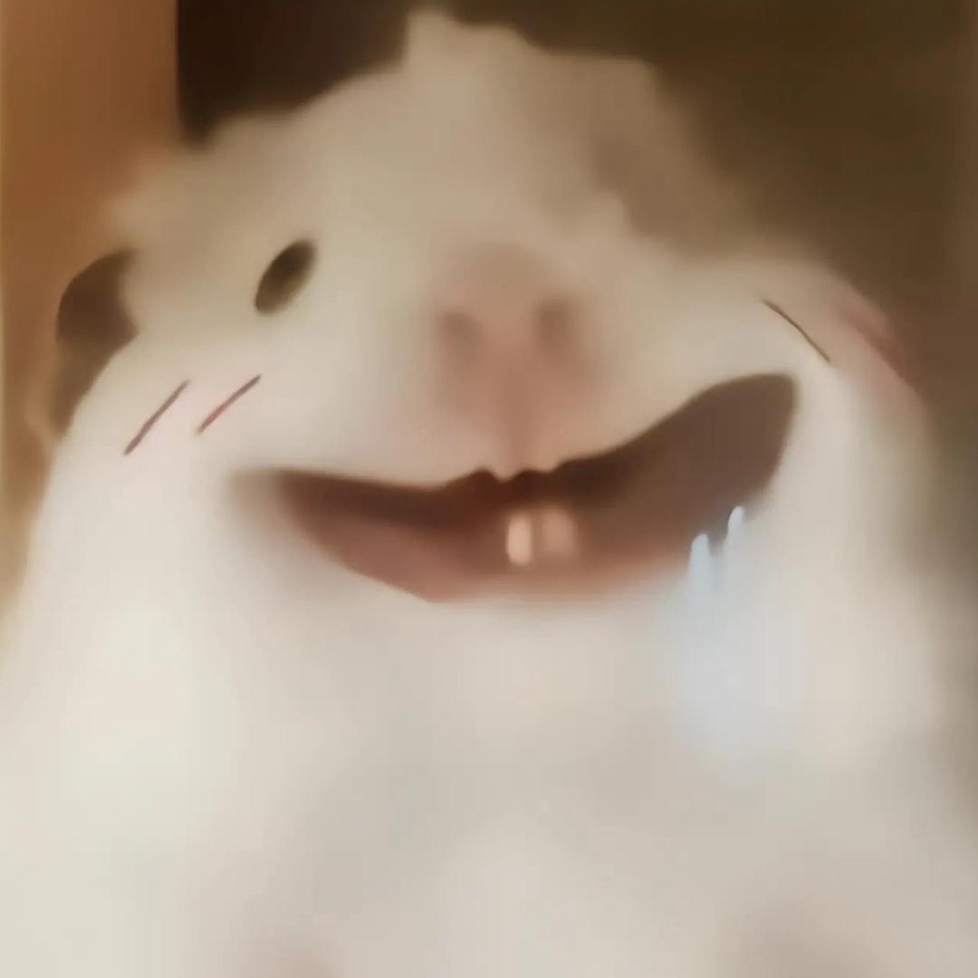 邢祈祈 （解限机）