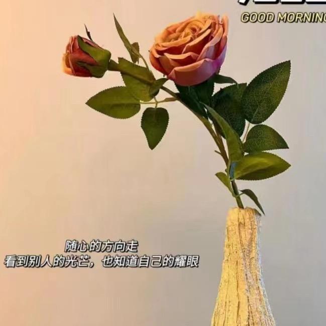乔木知年年