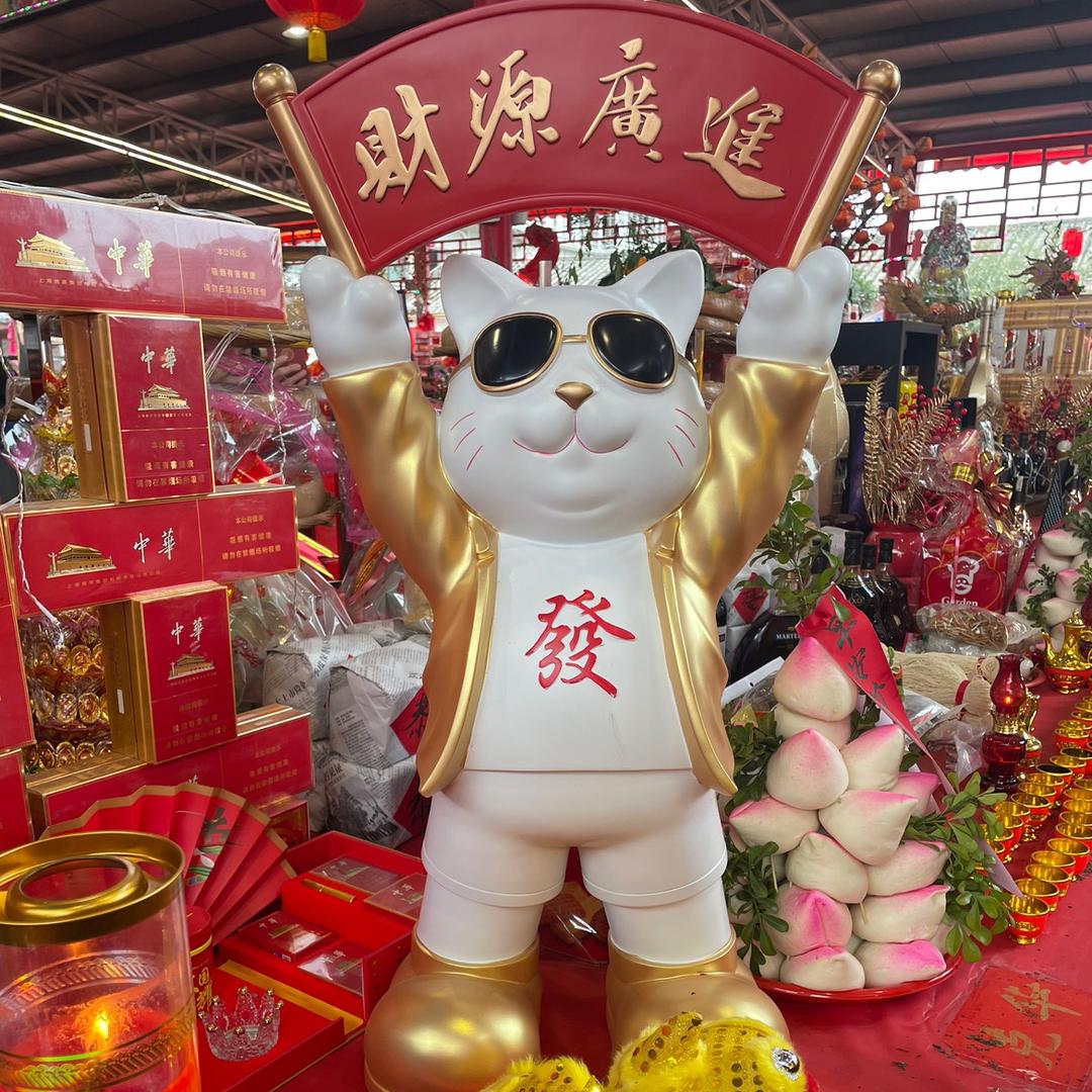 潮梦森精品男主角