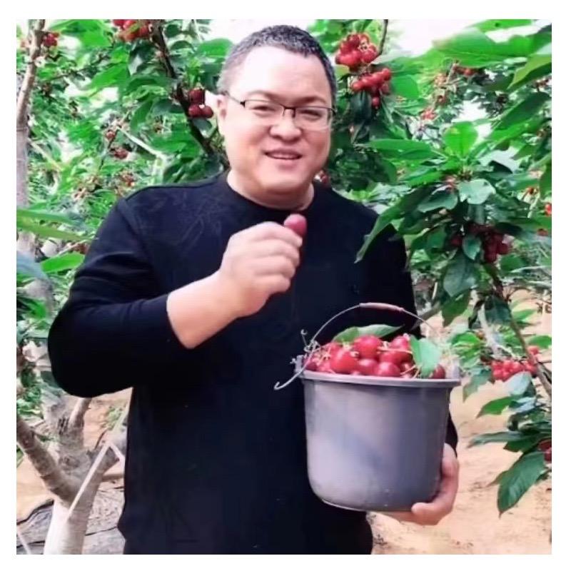 广哥榴莲