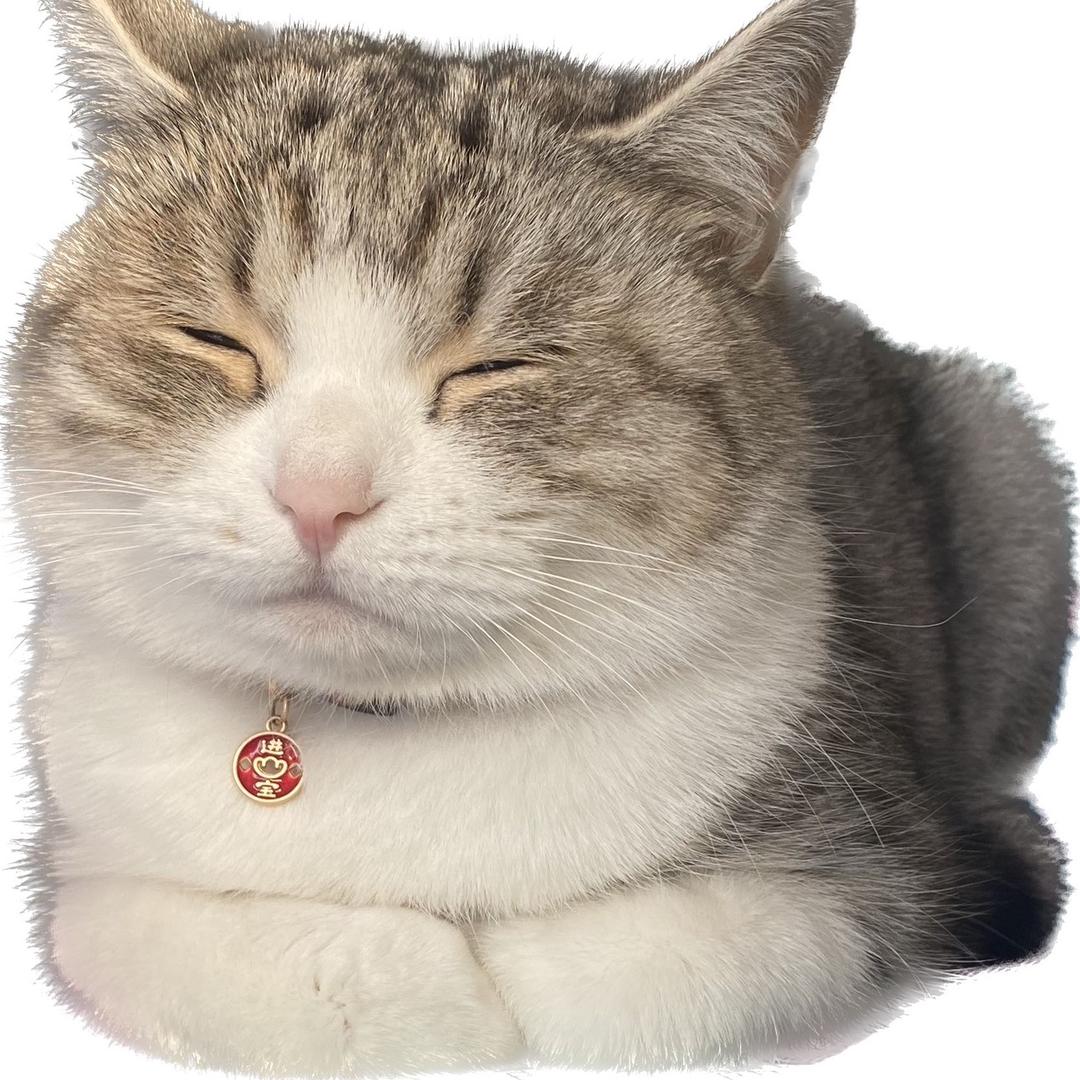 我不能不吃米饭