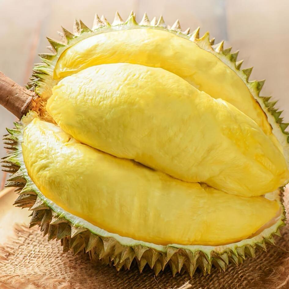鲜果榴莲明日达