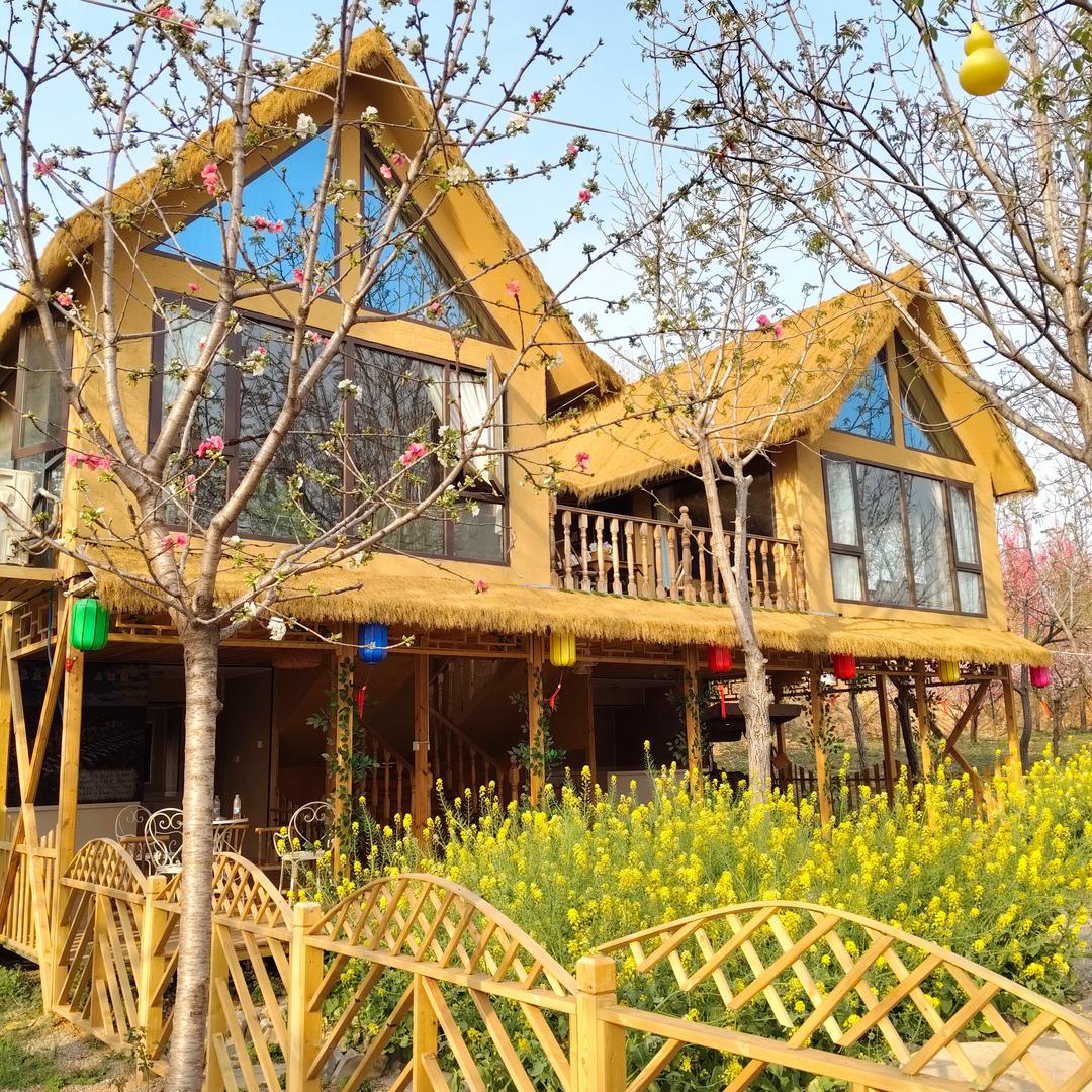 郑州小院