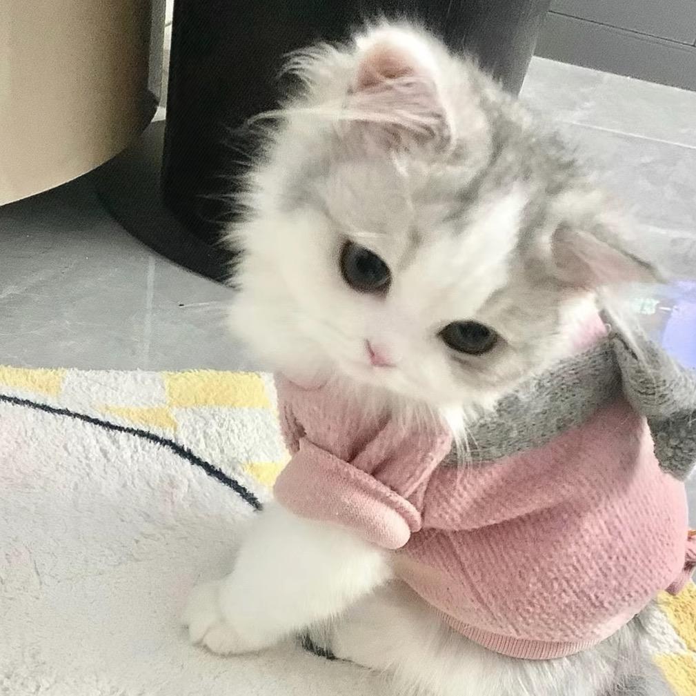 汤圆