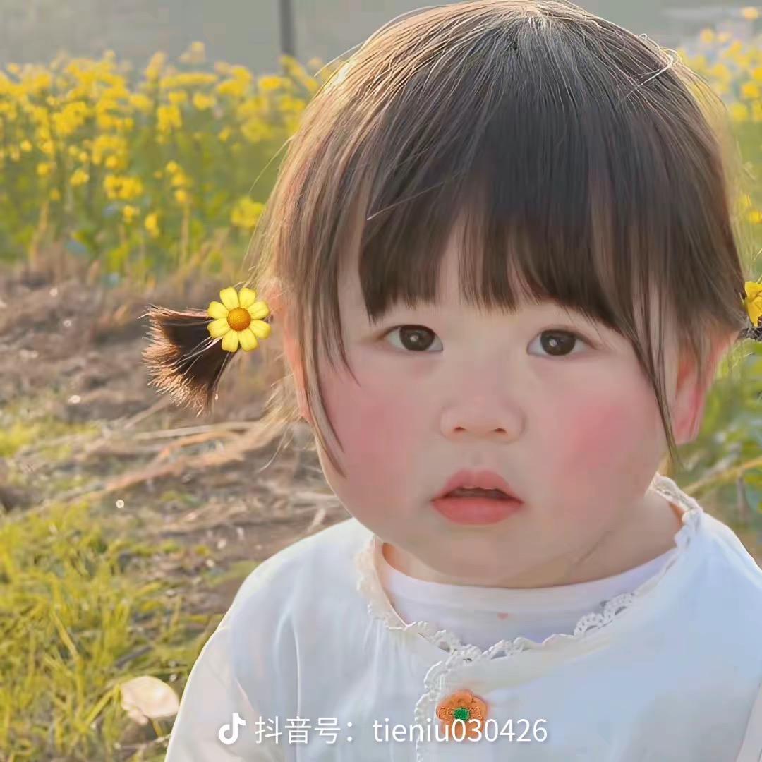 可惜我是水瓶座