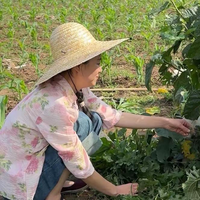 王老太和小娜