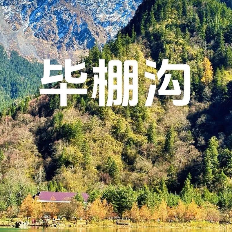毕棚沟专场直播