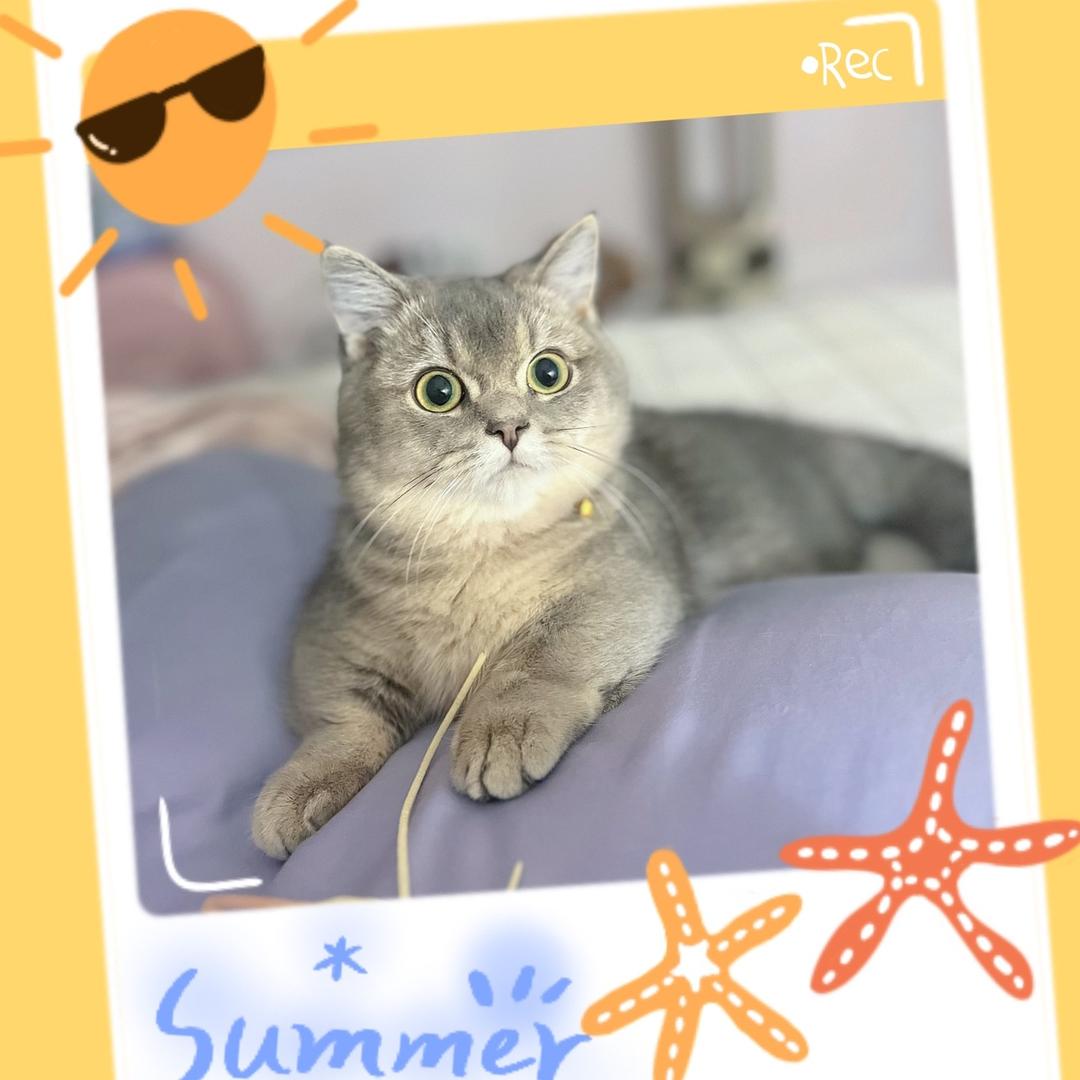 💝筱🌈妖精🌸