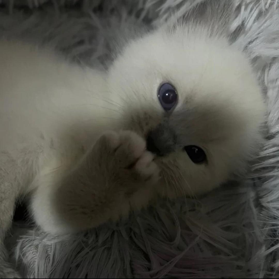 wink