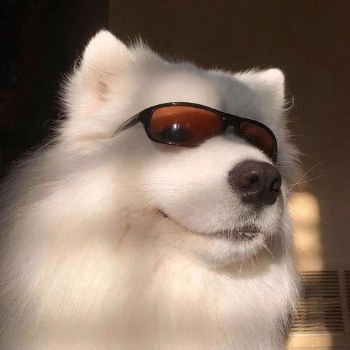酷哥.