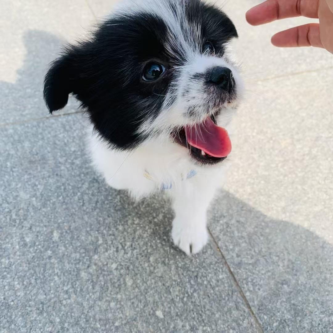 熊