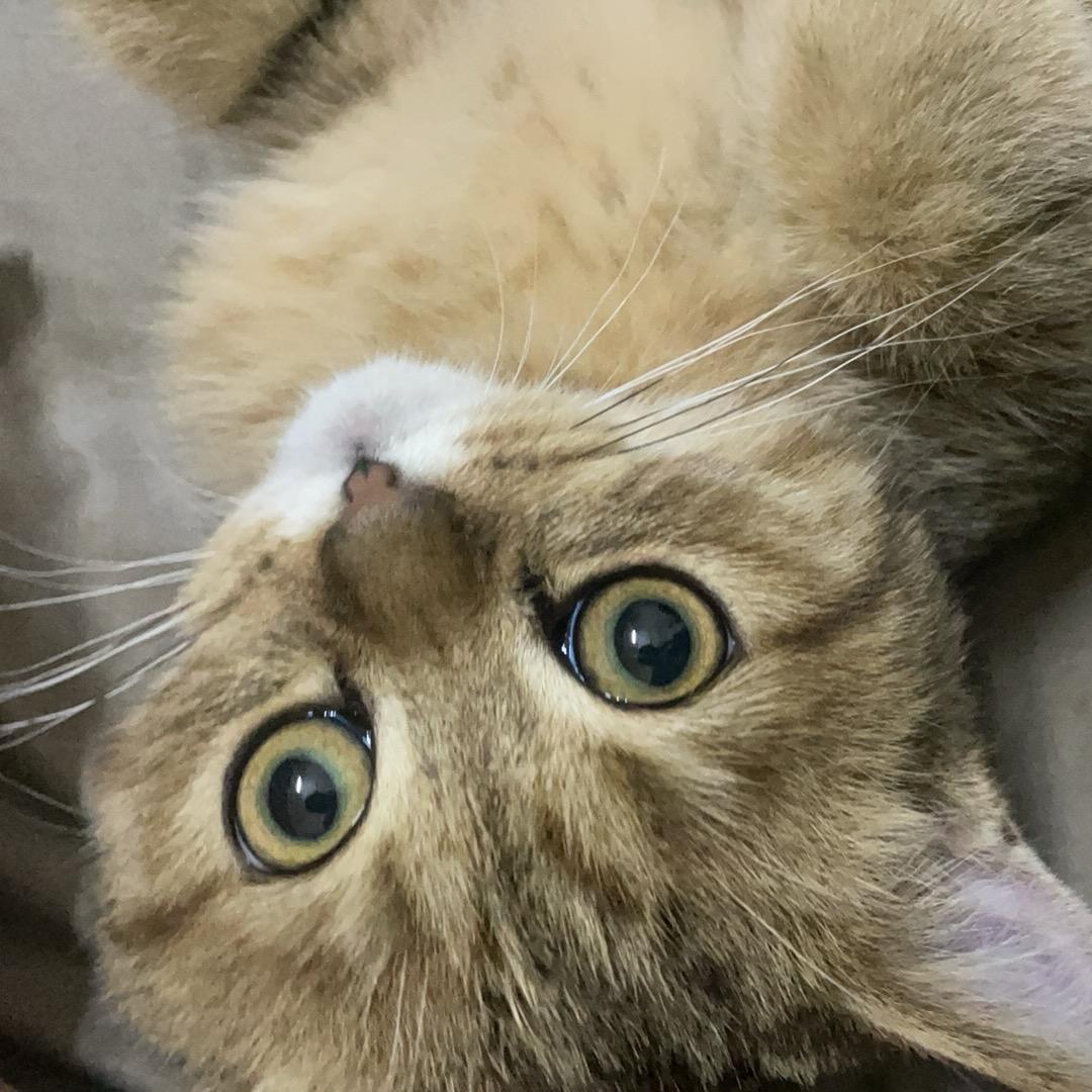 云上货运 颂达天下