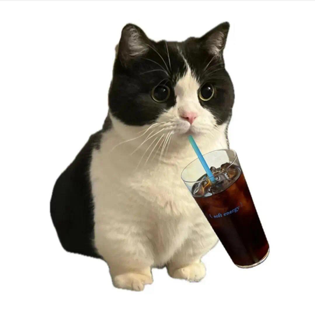 777