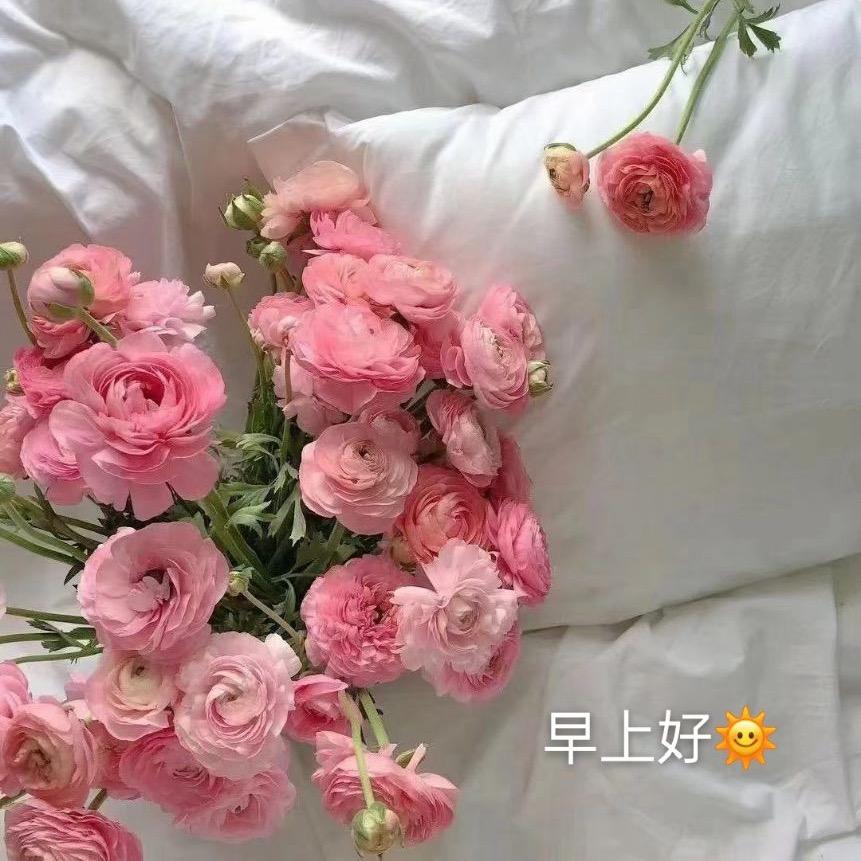 锦鲤🌈鑫鑫🌈