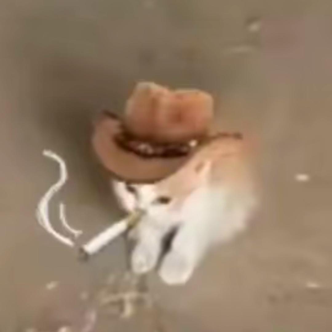 雪