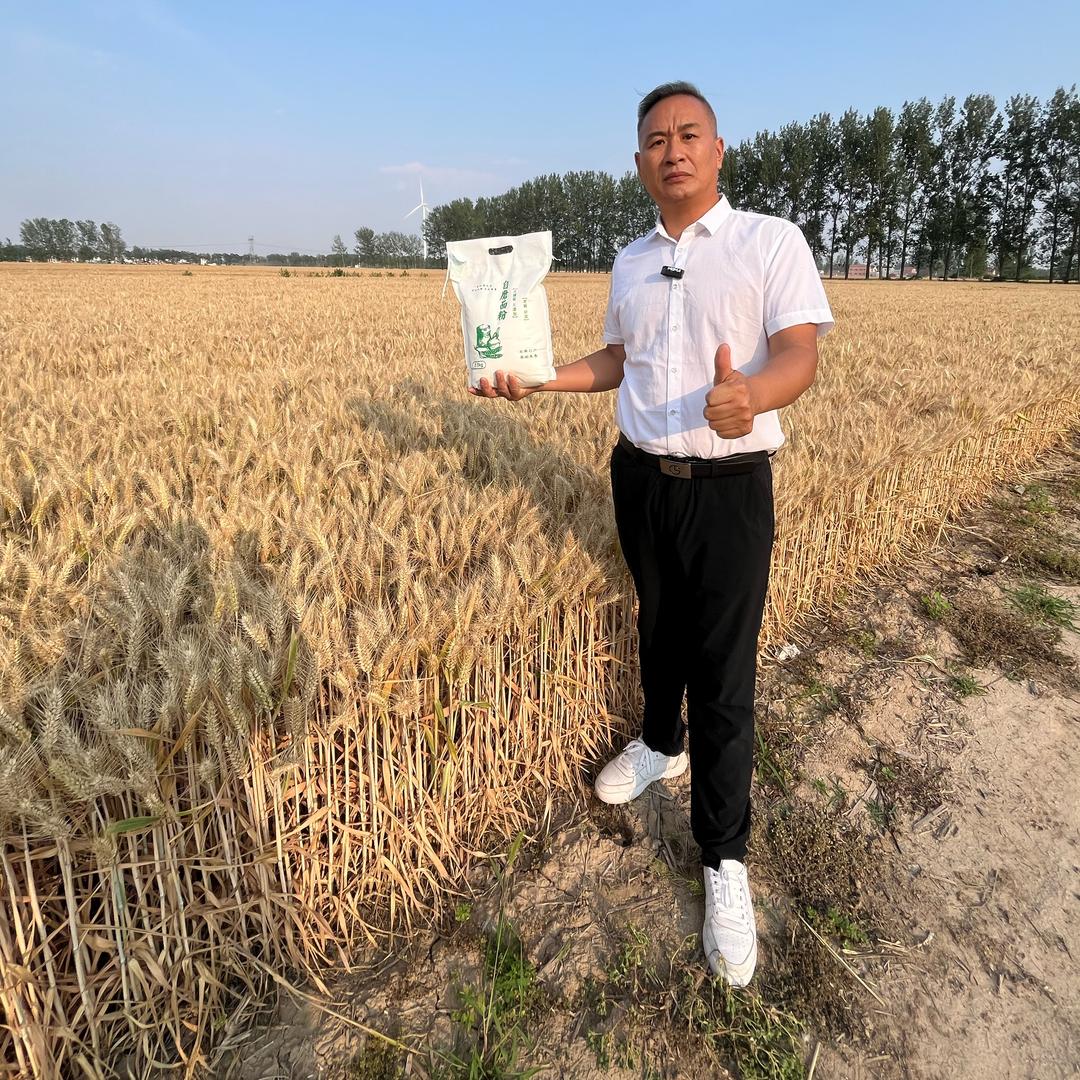 @农民哥《夏先生》