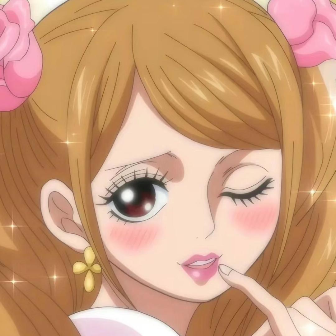 桂圆肉myomi