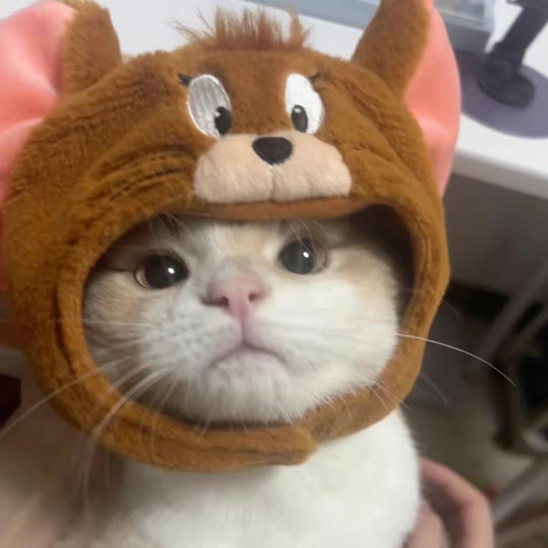 Mendex