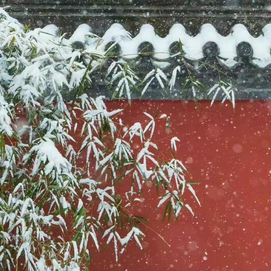 Circle snow❄️
