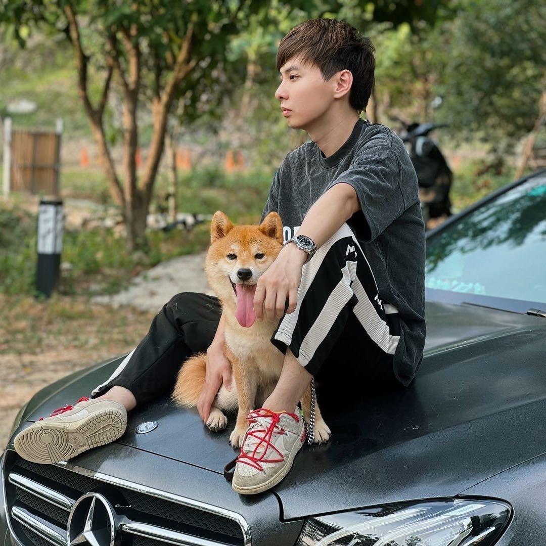 有个训犬师叫阿辉（天赋训犬）