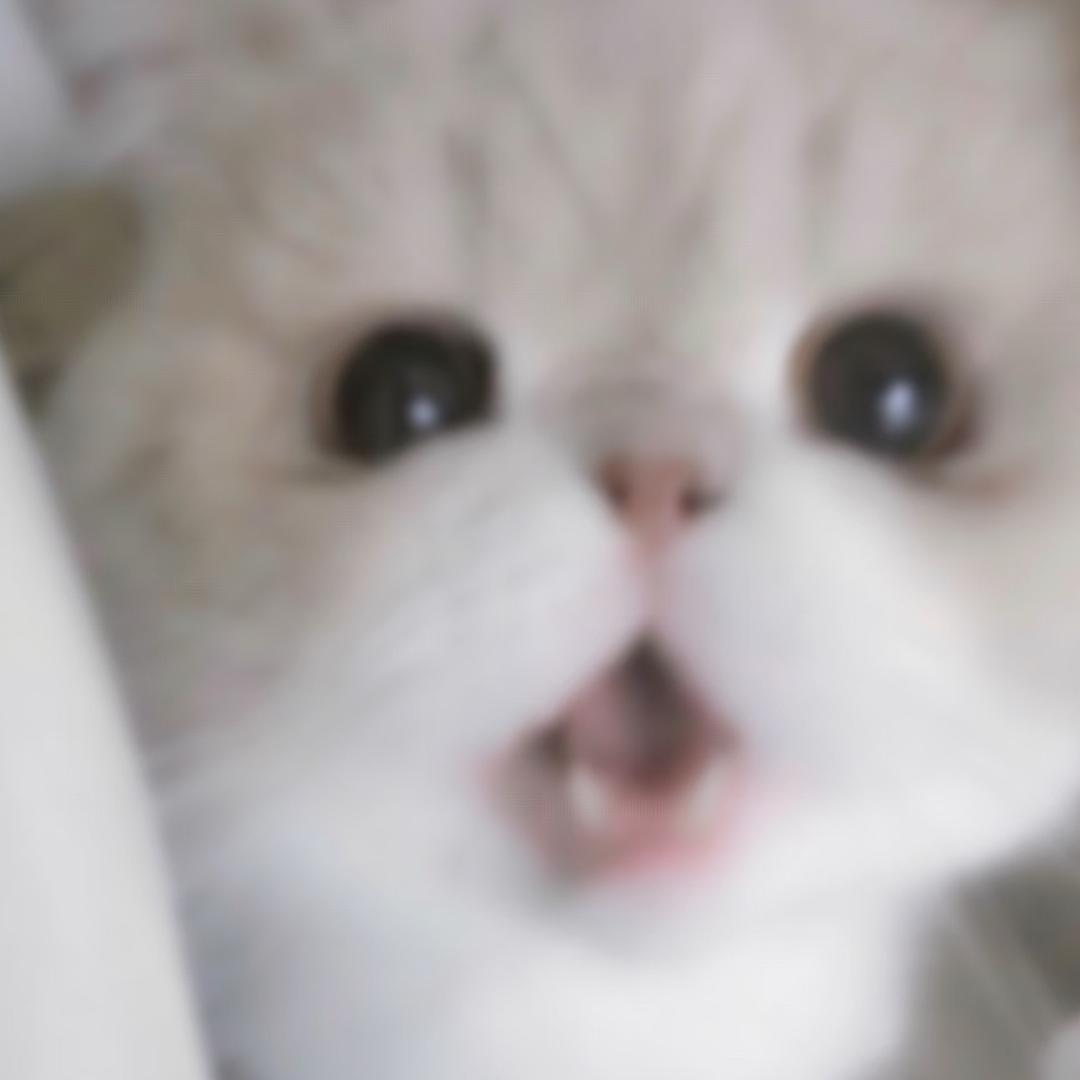 只吃软饭🍚