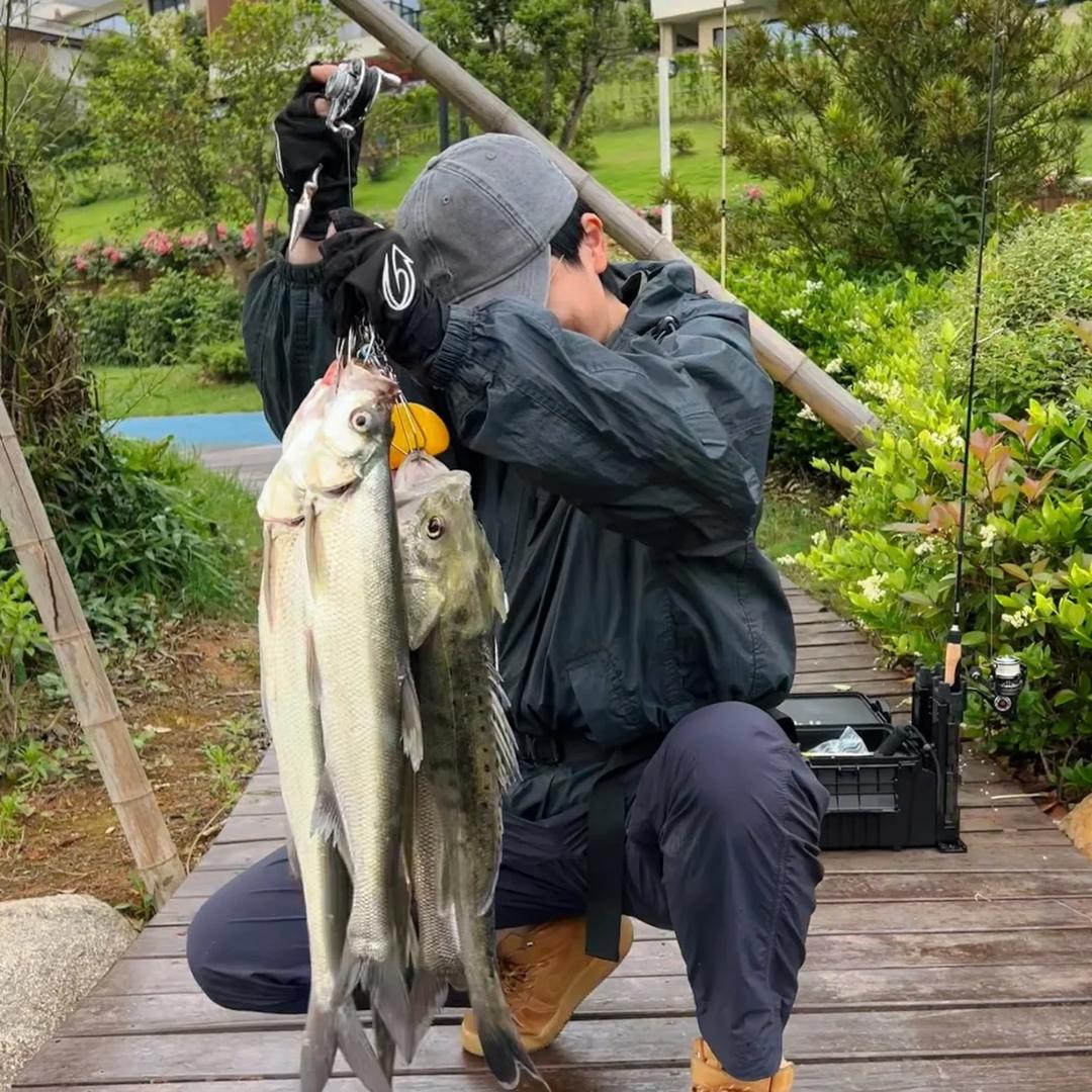千城路亚🎣