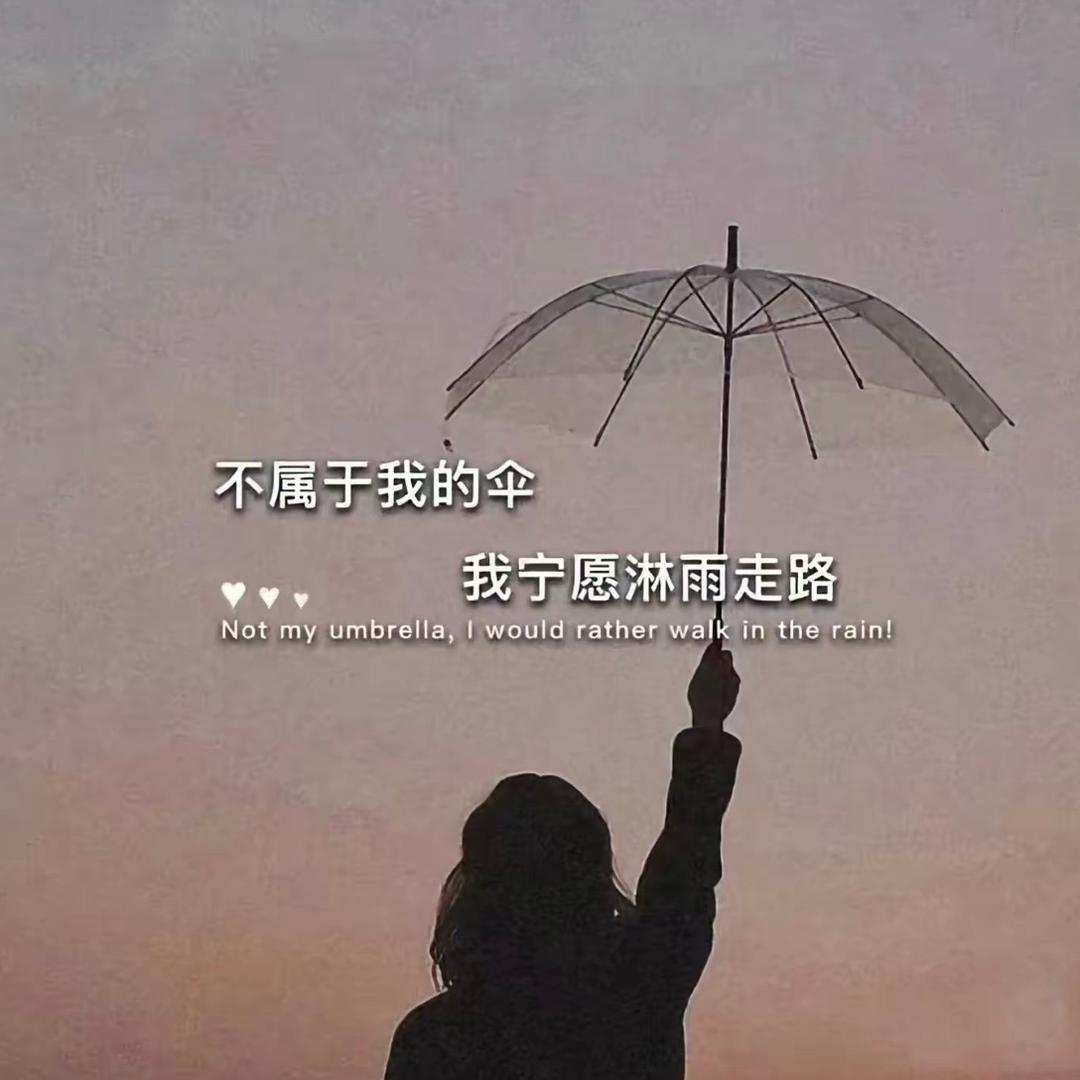 IV520240222浩
