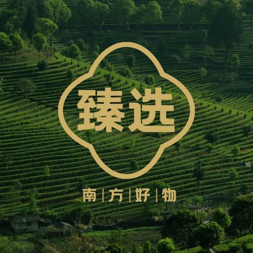 智联甄选南方好物