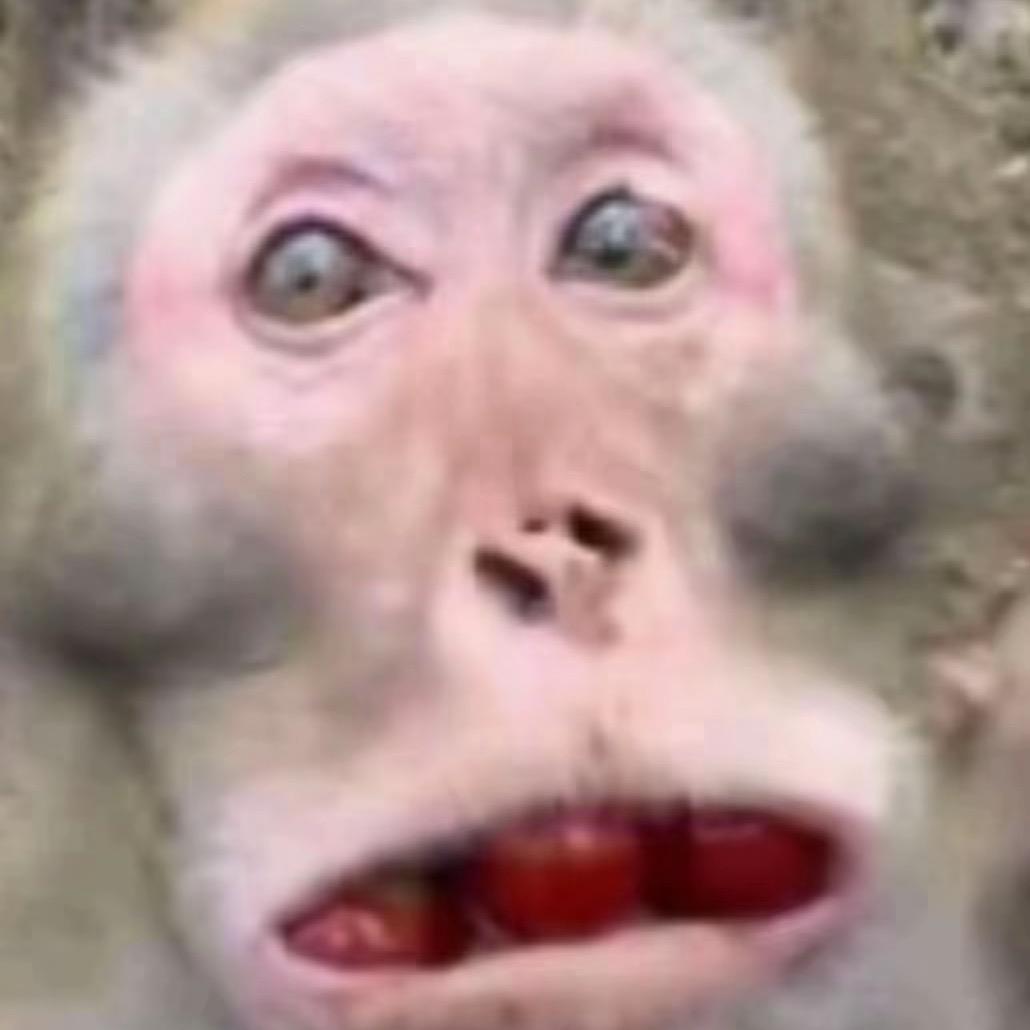 占个山头当大王