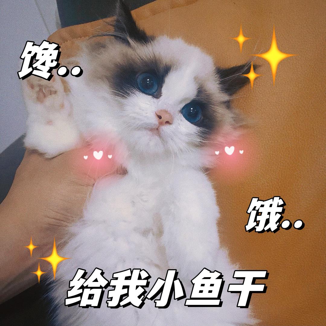 一梵