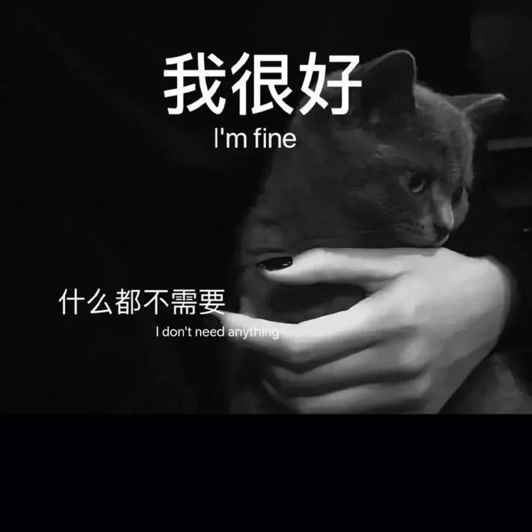 🦋এ᭄ꦿཽ࿆莹꧔ꦿ᭄໊ོ༉ᩚ