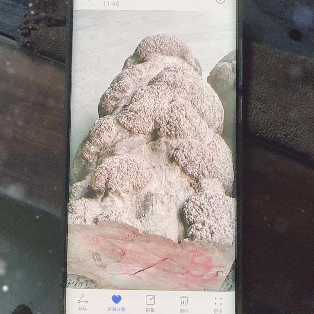 老七红木