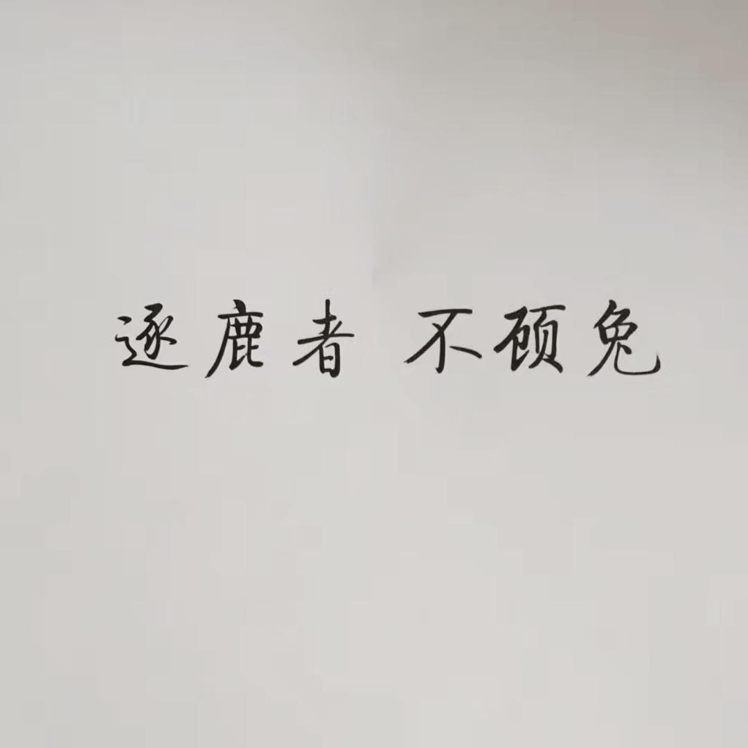 Focus