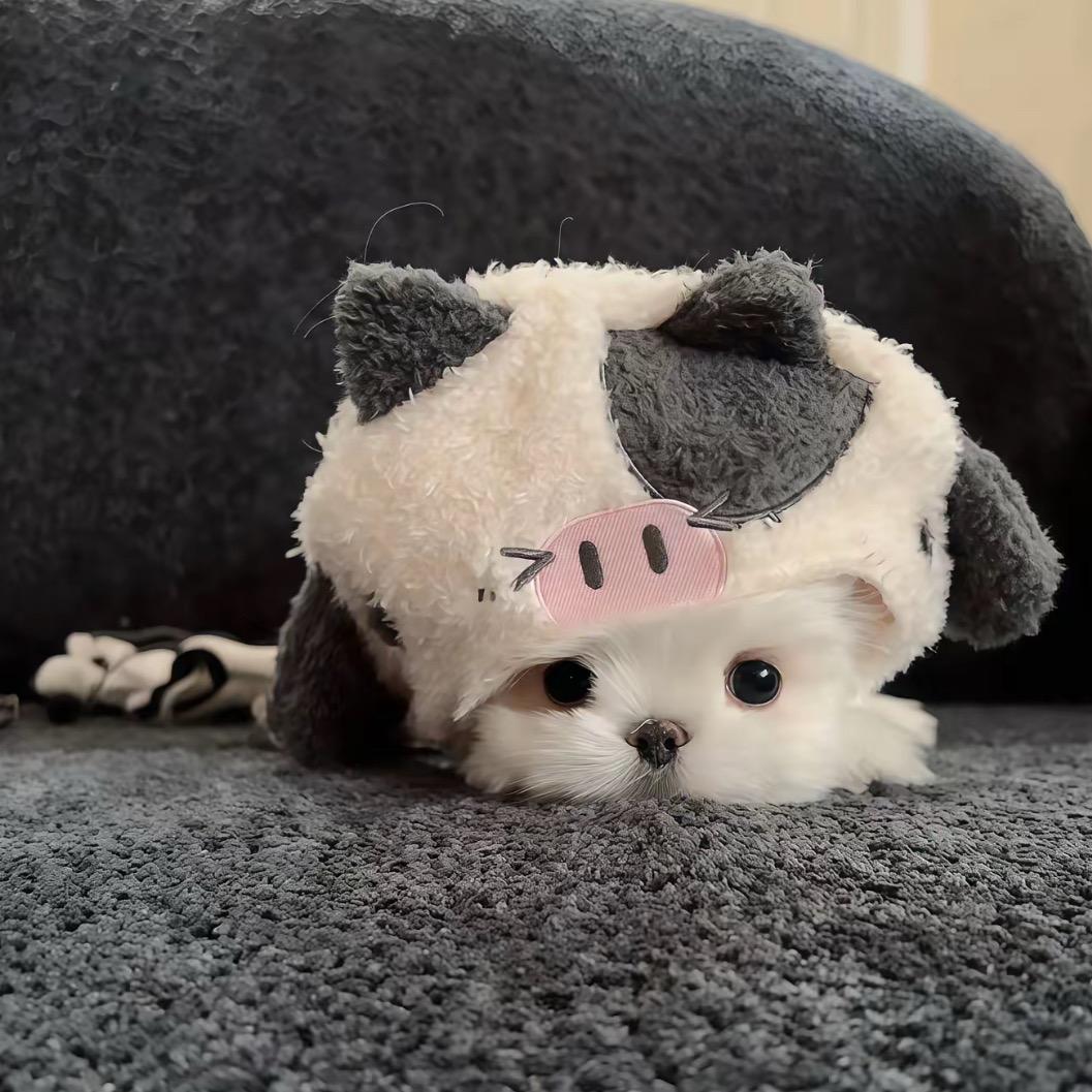 泥小汁想我莓