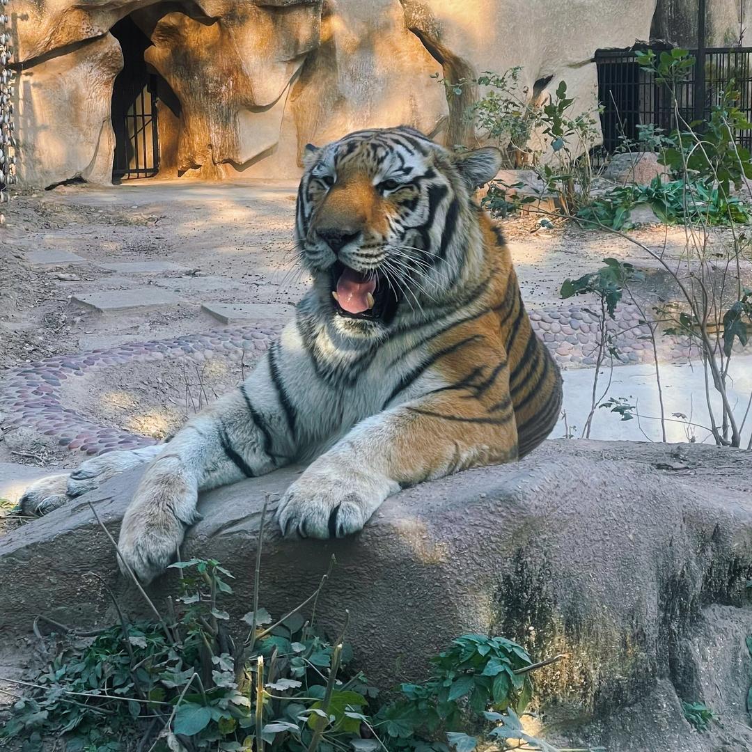 湖北明德二手车销售有限公司