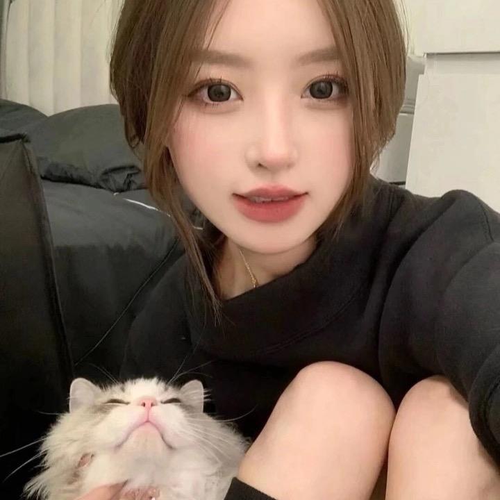 你的会会