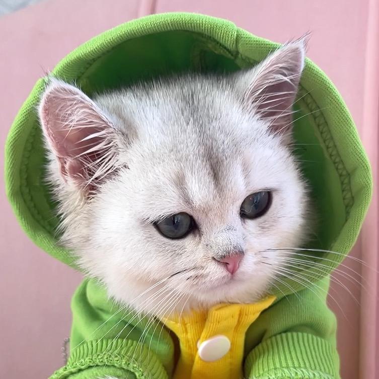 小果冻