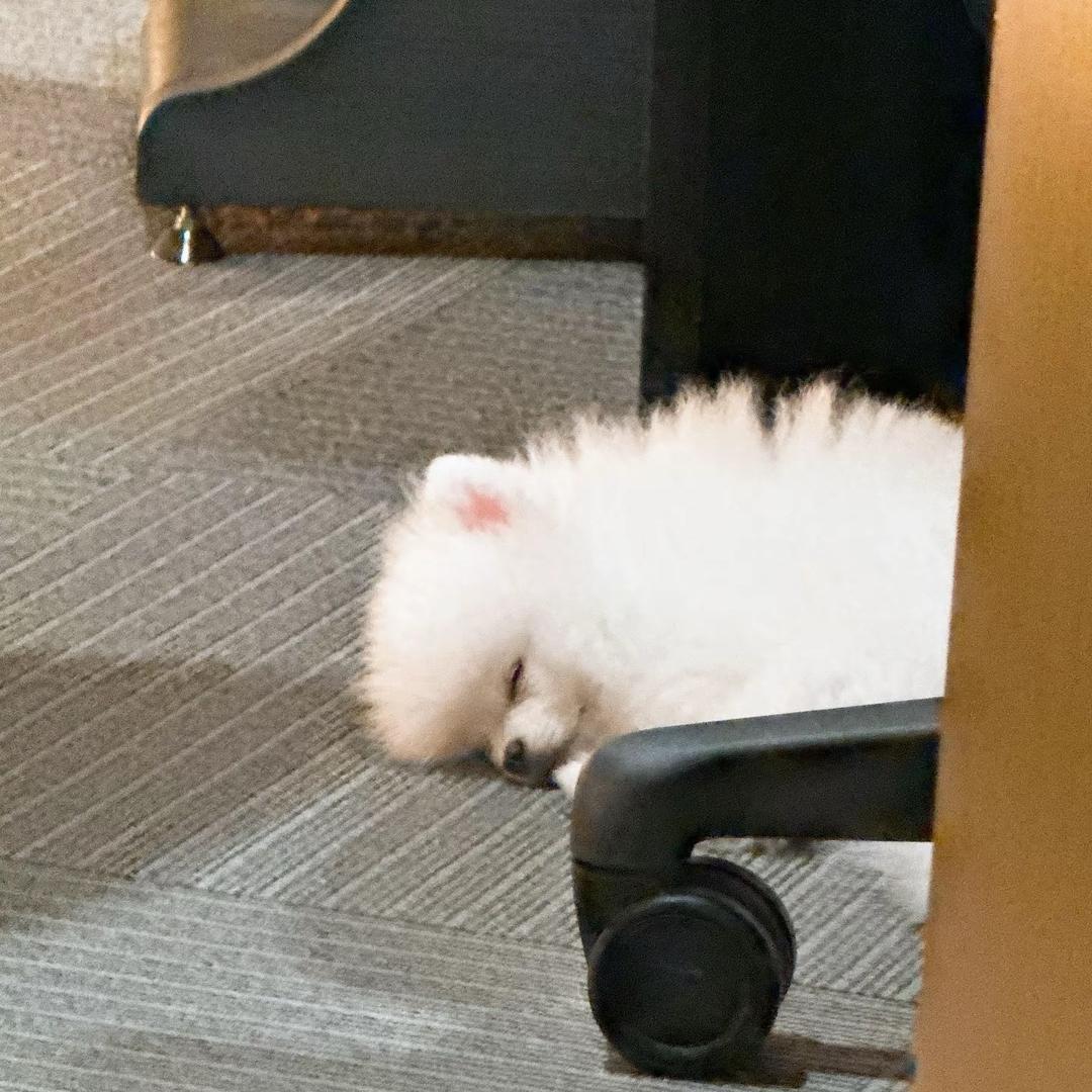 动感小言