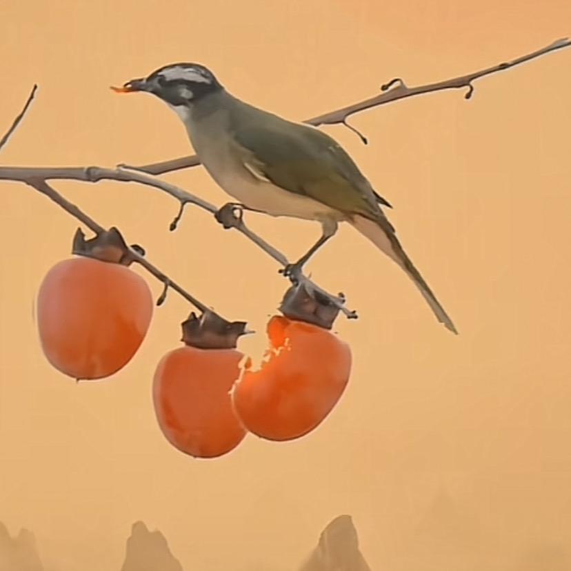 笑昊
