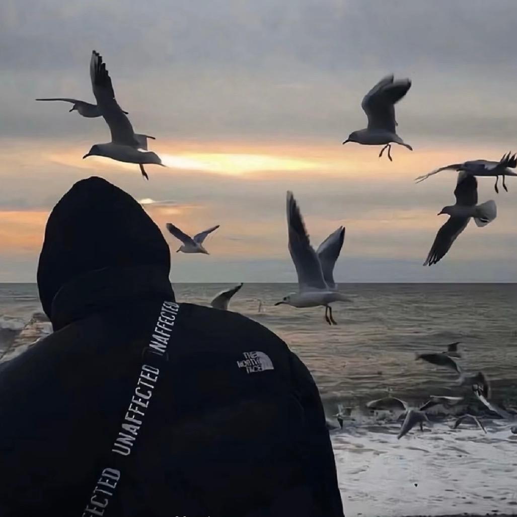 🌊  ．