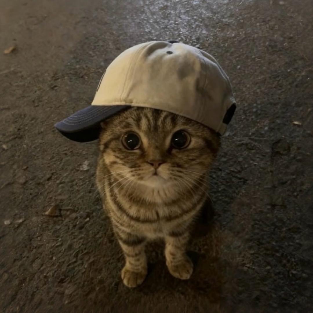 孙美美